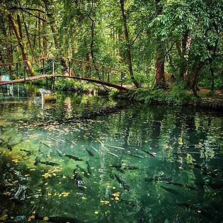 Янтарная Форель Bushtyno Extérieur photo