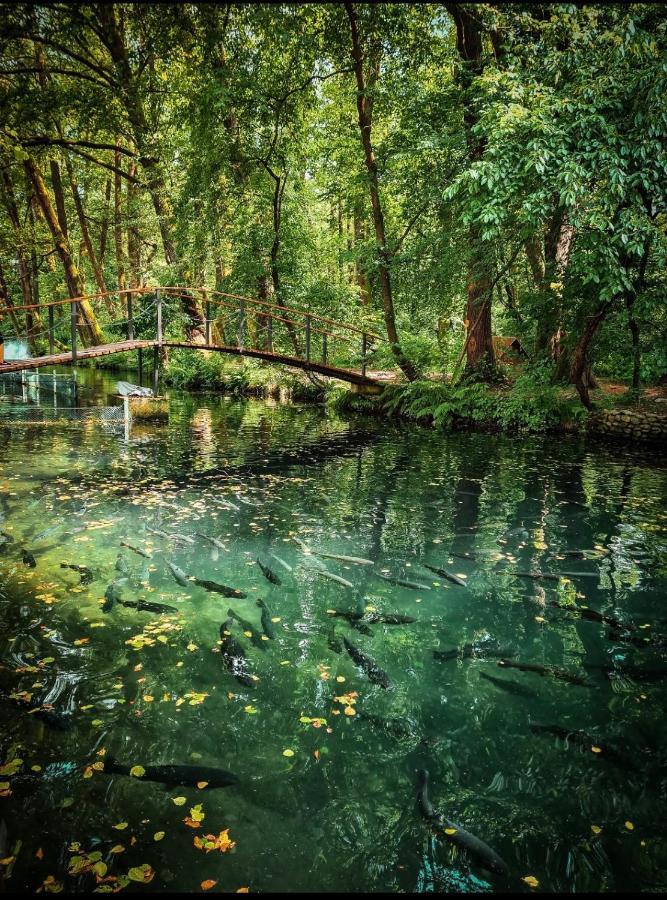 Янтарная Форель Bushtyno Extérieur photo
